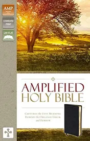Omslag van Amplified Holy Bible Captures the Full Meaning Behind the Original Greek and Hebrew