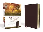 Omslag van Amplified Holy Bible, Large Print Captures the Full Meaning Behind the Original Greek and Hebrew [Burgundy]