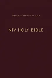 Omslag van NIV Holy Bible Compact [Burgundy]