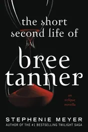 Omslag van The Short Second Life of Bree Tanner An Eclipse Novella