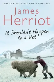 Omslag van It Shouldn't Happen to a Vet