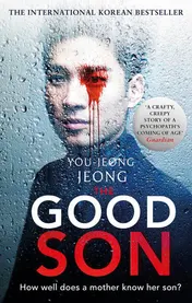 Omslag van The Good Son