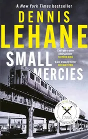 Omslag van Small Mercies