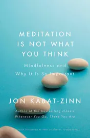 Omslag van Meditation Is Not What You Think Mindfulness and Why It Is So Important