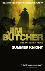 Omslag van Summer Knight