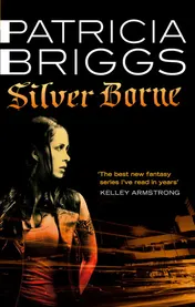 Omslag van Silver Borne