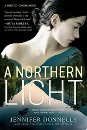 Omslag van A Northern Light