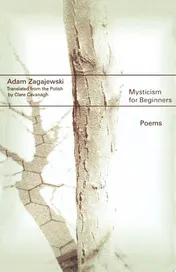 Omslag van Mysticism for Beginners Poems