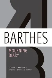 Omslag van Mourning Diary