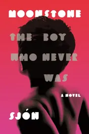 Omslag van Moonstone The Boy Who Never Was: A Novel