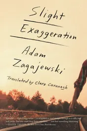 Omslag van Slight Exaggeration An Essay