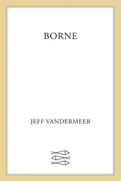 Omslag van Borne A Novel