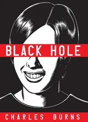 Omslag van Black Hole