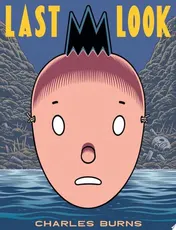Omslag van Last Look