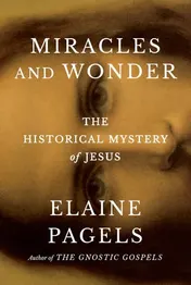 Omslag van Miracles and Wonder The Historical Mystery of Jesus