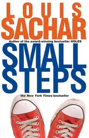 Omslag van Small Steps