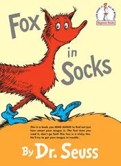 Omslag van Fox in Socks