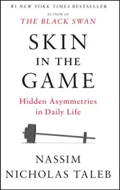 Omslag van Skin in the Game Hidden Asymmetries in Daily Life
