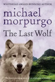 Omslag van The Last Wolf