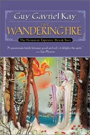 Omslag van The Wandering Fire