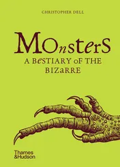 Omslag van Monsters A Bestiary of the Bizarre