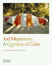 Omslag van Joel Meyerowitz A Question of Color