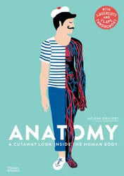 Omslag van Anatomy A Cutaway Look Inside the Human Body