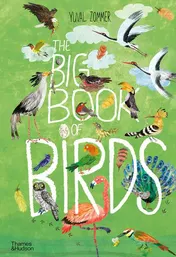 Omslag van The Big Book of Birds