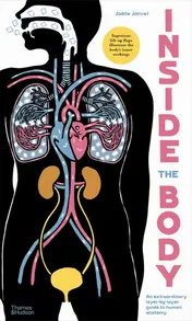 Omslag van Inside the Body An Extraordinary Layer-By-layer Guide to Human Anatomy