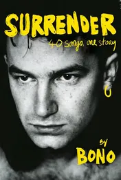 Omslag van Surrender 40 Songs, One Story