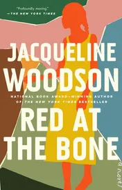 Omslag van Red at the Bone A Novel