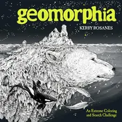 Omslag van Geomorphia An Extreme Coloring and Search Challenge
