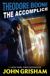Omslag van Theodore Boone: The Accomplice