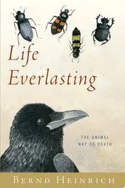 Omslag van Life Everlasting The Animal Way of Death