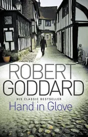 Omslag van Hand in Glove A Novel