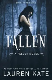 Omslag van Fallen