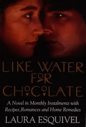 Omslag van Like Water for Chocolate