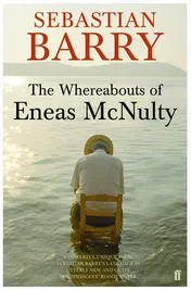 Omslag van The Whereabouts of Eneas McNulty