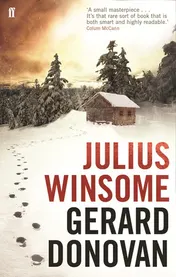 Omslag van Julius Winsome A Novel
