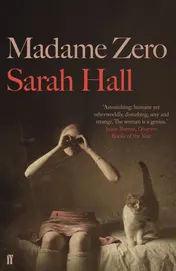 Omslag van Madame Zero