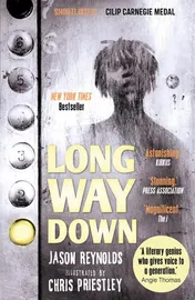 Omslag van Long Way Down