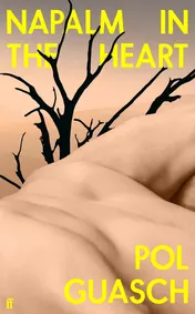 Omslag van Faber Faber Napalm in the Heart Innovative and original COLM TOIBIN.