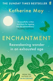 Omslag van Enchantment Reawakening Wonder in an Exhausted Age