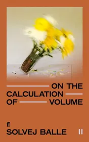 Omslag van On the Calculation of Volume II