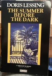 Omslag van The Summer Before the Dark