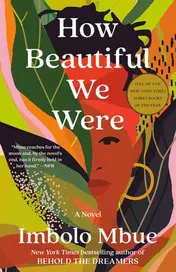 Omslag van How Beautiful We Were A Novel