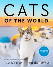 Omslag van Cats of the World