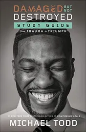 Omslag van Damaged but Not Destroyed Study Guide From Trauma to Triumph