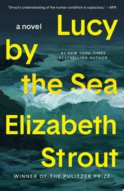 Omslag van Lucy by the Sea A Novel