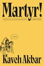 Omslag van Martyr!